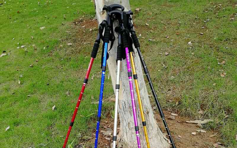 kinds of climbing sticks