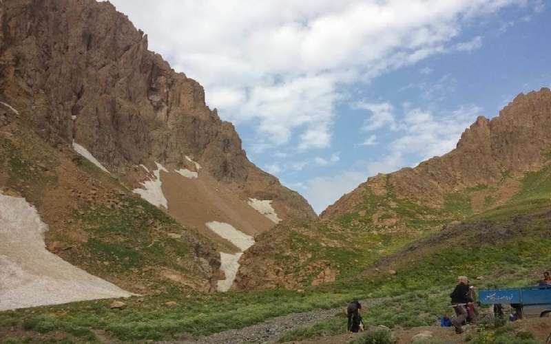 پوشش جانوری در کوه علمکوه