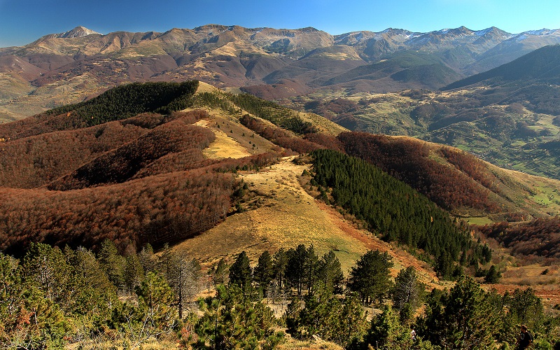 سیستم ناوبری