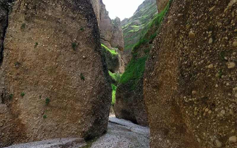 کول خرسون دزفول