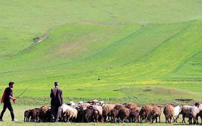 بهترین فصل برای سفر به دشت مغان